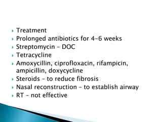  Treatment
 Prolonged antibiotics for 4-6 weeks
 Streptomycin – DOC
 Tetracycline
 Amoxycillin, ciprofloxacin, rifampicin,
ampicillin, doxycycline
 Steroids – to reduce fibrosis
 Nasal reconstruction – to establish airway
 RT – not effective
 