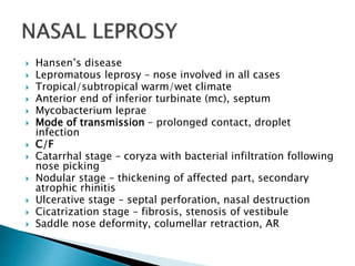  Hansen’s disease
 Lepromatous leprosy – nose involved in all cases
 Tropical/subtropical warm/wet climate
 Anterior end of inferior turbinate (mc), septum
 Mycobacterium leprae
 Mode of transmission – prolonged contact, droplet
infection
 C/F
 Catarrhal stage – coryza with bacterial infiltration following
nose picking
 Nodular stage – thickening of affected part, secondary
atrophic rhinitis
 Ulcerative stage – septal perforation, nasal destruction
 Cicatrization stage – fibrosis, stenosis of vestibule
 Saddle nose deformity, columellar retraction, AR
 