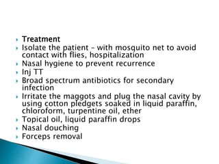  Treatment
 Isolate the patient – with mosquito net to avoid
contact with flies, hospitalization
 Nasal hygiene to prevent recurrence
 Inj TT
 Broad spectrum antibiotics for secondary
infection
 Irritate the maggots and plug the nasal cavity by
using cotton pledgets soaked in liquid paraffin,
chloroform, turpentine oil, ether
 Topical oil, liquid paraffin drops
 Nasal douching
 Forceps removal
 