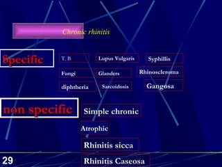 Chronic rhinitis  Glanders Rhinoscleroma diphtheria Sarcoidosis Lupus Vulgaris T. B Gangosa Specific Syphillis Fungi Rhinitis sicca Rhinitis Caseosa Atrophic Simple chronic non specific   