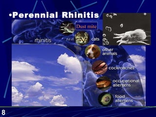 Perennial Rhinitis Dust mite Fel d1 