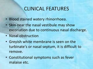 CLINICAL FEATURES
• Blood stained watery rhinorrhoea.
• Skin near the nasal vestibule may show
excoriation due to continuous nasal discharge.
• Nasal obstruction
• Greyish white membrane is seen on the
turbinate's or nasal septum, it is difficult to
remove.
• Constitutional symptoms such as fever
malaise etc.
 