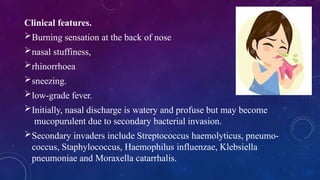 acute and chronic rhinitis by dr supriya | PPTX