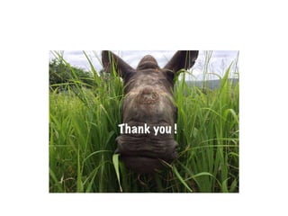 Rhino.pptx
