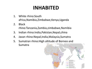 INHABITED
1. White rhino:South
africa,Namibia,Zimbabwe,Kenya,Uganda
2. Black
rhino:Tanzania,Zambia,zimbabwe,Namibia
3. Indian rhino:India,Pakistan,Nepal,china
4. Javan rhino:Nepal,India,Malaysia,Sumatra
5. Sumatran rhino:High altitude of Borneo and
Sumatra
 