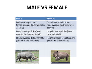 MALE VS FEMALE
MALE FEMALE
Males are larger than
female,average body weight is
2150 kg
Female are smaller than
male,average body weight is
1500 kg
Length:average 3.8m(from
nose to the base of its tail)
Length: average 3.5m(from
nose to its tail)
Height:average 1.8m(from the
ground to the shoulder)
Height:average 1.7m(from the
ground to the shoulder)
 