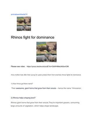 animalsworldwide74
Rhinos fight for dominance
Please see video https://youtu.be/zkvcrdJcctE?si=CibWHMaUAt5snCIM
rhino mother look after their young for years protect them from enemies rhinos fights for dominance
1) How rhinos got there name?
Their awesome, giant horns that grow from their snouts – hence the name “rhinoceros’,
2) Rhinos helps shaping land?
Rhinos giant horns that grow from their snouts,They’re important grazers, consuming
large amounts of vegetation, which helps shape landscape.
 