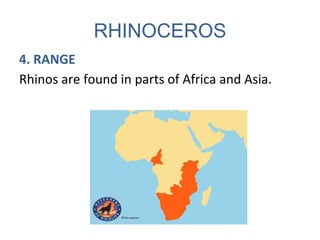 RHINOCEROS
4. RANGE
Rhinos are found in parts of Africa and Asia.