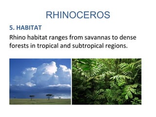 RHINOCEROS
5. HABITAT
Rhino habitat ranges from savannas to dense
forests in tropical and subtropical regions.