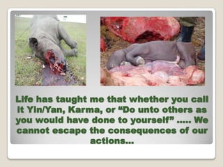 Life has taught me that whether you call
it Yin/Yan, Karma, or Do unto others as
you would have done to yourself .. We
cannot escape the consequences of our
                actions
 