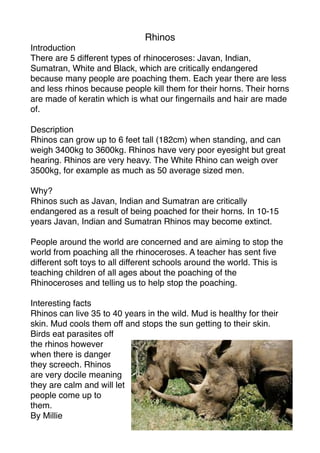 Rhinos
Introduction
There are 5 different types of rhinoceroses: Javan, Indian,
Sumatran, White and Black, which are critically endangered
because many people are poaching them. Each year there are less
and less rhinos because people kill them for their horns. Their horns
are made of keratin which is what our ﬁngernails and hair are made
of.

Description
Rhinos can grow up to 6 feet tall (182cm) when standing, and can
weigh 3400kg to 3600kg. Rhinos have very poor eyesight but great
hearing. Rhinos are very heavy. The White Rhino can weigh over
3500kg, for example as much as 50 average sized men.

Why?
Rhinos such as Javan, Indian and Sumatran are critically
endangered as a result of being poached for their horns. In 10-15
years Javan, Indian and Sumatran Rhinos may become extinct.

People around the world are concerned and are aiming to stop the
world from poaching all the rhinoceroses. A teacher has sent ﬁve
different soft toys to all different schools around the world. This is
teaching children of all ages about the poaching of the
Rhinoceroses and telling us to help stop the poaching.

Interesting facts
Rhinos can live 35 to 40 years in the wild. Mud is healthy for their
skin. Mud cools them off and stops the sun getting to their skin.
Birds eat parasites off
the rhinos however
when there is danger
they screech. Rhinos
are very docile meaning
they are calm and will let
people come up to
them.
By Millie
 