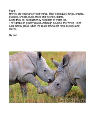 Food
Rhinos are vegetarian/ herbivores. They eat leaves, twigs, shrubs,
grasses, shoots, buds, trees and in short, plants.
Since they eat so much they need lots of water too.
They graze on grassy plains. Although cousins, the White Rhino
eats mostly grass, while the Black Rhino eat more bushes and
leaves.

By Zoe
 