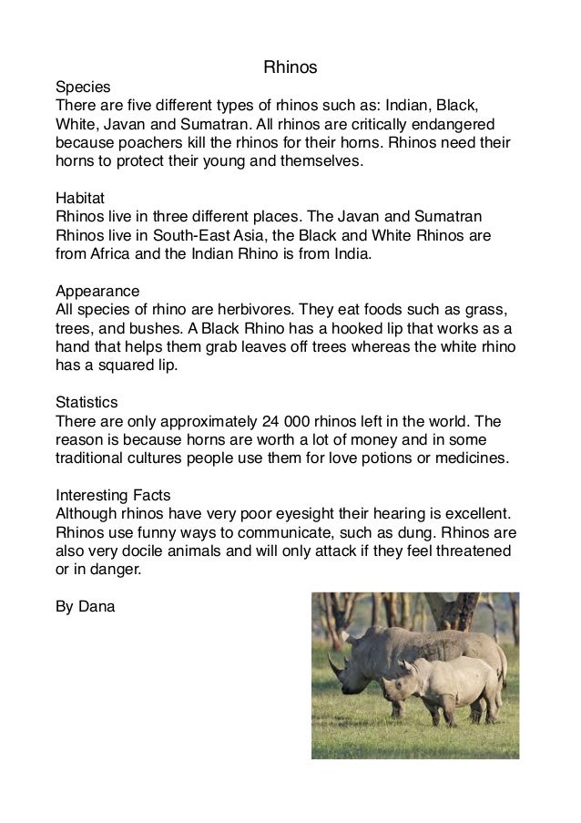 rhinoceros plural form