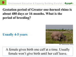 Gestation period of Greater one-horned rhino is
about 480 days or 16 months. What is the
period of breeding?
Usually 4-5 years
9 Environment Education & Capacity Building Division |
A female gives birth one calf at a time. Usually
female won’t give birth until her calf leave.
PC: Deba Kumar Dutta
 