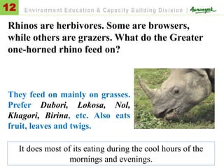 Rhinos are herbivores. Some are browsers,
while others are grazers. What do the Greater
one-horned rhino feed on?
They feed on mainly on grasses.
Prefer Dubori, Lokosa, Nol,
Khagori, Birina, etc. Also eats
fruit, leaves and twigs.
12 Environment Education & Capacity Building Division |
It does most of its eating during the cool hours of the
mornings and evenings.
 