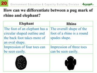 How can we differentiate between a pug mark of
rhino and elephant?
20 Environment Education & Capacity Building Division |
Elephant Rhino
The foot of an elephant has a
circular shaped outline and
the back foot takes more of
an oval shape.
The overall shape of the
foot of a rhino is a round
spades shape.
Impression of four toes can
be seen easily.
Impression of three toes
can be seen easily.
 