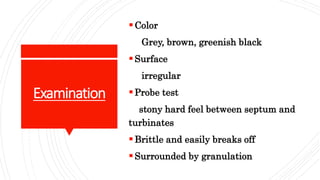 Examination
Color
Grey, brown, greenish black
Surface
irregular
Probe test
stony hard feel between septum and
turbinates
Brittle and easily breaks off
Surrounded by granulation