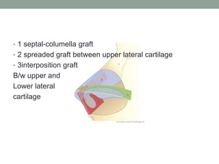 • 1 septal-columella graft
• 2 spreaded graft between upper lateral cartilage
• 3interposition graft
B/w upper and
Lower lateral
cartilage
 