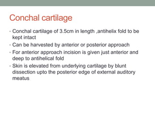 Conchal cartilage
• Conchal cartilage of 3.5cm in length ,antihelix fold to be
kept intact
• Can be harvested by anterior or posterior approach
• For anterior approach incision is given just anterior and
deep to antihelical fold
• Skin is elevated from underlying cartilage by blunt
dissection upto the posterior edge of external auditory
meatus
 