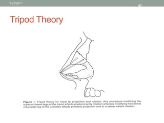 Tripod Theory
1/27/2017
97
 