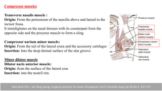 Compressor muscles
Transverse nasalis muscle :
Origin: From the periosteum of the maxilla above and lateral to the
incisor fossa.
It interdigitates on the nasal dorsum with its counterpart from the
opposite side and the procerus muscle to form a sling.
Compressor narium minor muscle:
Origin: From the tail of the lateral crura and the accessory cartilages
Insertion: Into the deep dermal surface of the alar groove.
Minor dilator muscle
Dilator naris anterior muscle:
Origin: from the surface of the lateral crus
Insertion: into the nostril rim.
Taek Kyun Kim, Jae Yong Jeong; Surgical anatomy for Asian rhinoplasty; Arch Craniofac Surg Vol.20 No.3, 147-157
 