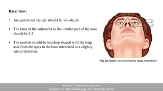 Basal view:
• An equilateral triangle should be visualized.
• The ratio of the columella to the lobular part of the nose
should be 2:1
• The nostrils should be teardrop shaped with the long
axis from the apex to the base orientated in a slightly
lateral direction.
Kenyon G. Nasal Anatomy and
Analysis. Int J Otorhinolaryngol Clin 2013;5(1):34-42.
 