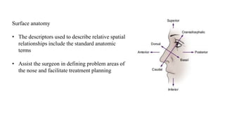 Surface anatomy
• The descriptors used to describe relative spatial
relationships include the standard anatomic
terms
• Assist the surgeon in defining problem areas of
the nose and facilitate treatment planning
 