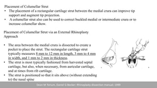 Placement of Columellar Strut
• The placement of a rectangular cartilage strut between the medial crura can improve tip
support and augment tip projection.
• A columellar strut also can be used to correct buckled medial or intermediate crura or to
increase columellar show.
Placement of Columellar Strut via an External Rhinoplasty
Approach
• The area between the medial crura is dissected to create a
pocket to place the strut. The rectangular cartilage strut
typically measures 8 mm to 12 rnm in length, 3 mm to 4 mm
in width, and 1 mm to 2 mm in thickness.
• The strut is most typically fashioned from harvested septal
cartilage, but also, when necessary, from auricular cartilage,
and at times from rib cartilage.
• The strut is positioned so that it sits above (without extending
to) the nasal spine
Dean M Torium, Daniel G Becker; Rhinoplasty dissection manual; 1999
 