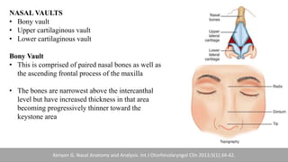 NASAL VAULTS
• Bony vault
• Upper cartilaginous vault
• Lower cartilaginous vault
Bony Vault
• This is comprised of paired nasal bones as well as
the ascending frontal process of the maxilla
• The bones are narrowest above the intercanthal
level but have increased thickness in that area
becoming progressively thinner toward the
keystone area
Kenyon G. Nasal Anatomy and Analysis. Int J Otorhinolaryngol Clin 2013;5(1):34-42.
 
