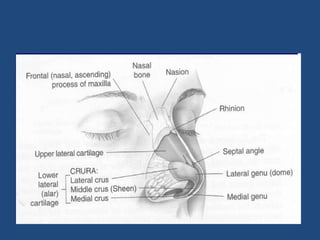 RHINOPLASTY ,Types of incision & Osteotomies.pptx