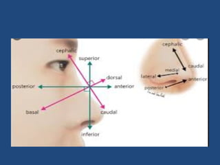 RHINOPLASTY ,Types of incision & Osteotomies.pptx