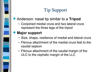 Tip Support
 Anderson: nasal tip similar to a Tripod
– Conjoined medial crura and two lateral crura
represent the three legs of the tripod
 Major support
– Size, shape, resilience of medial and lateral crura
– Fibrous attachment of the medial crura feet to the
caudal septum
– Fibrous attachment of the caudal margin of the
ULC to the cephalic margin of the LLC
 
