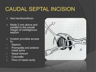 CAUDAL SEPTAL INCISION
 Aka hemitransfixion
 Made 2 mm above and
parallel to the caudal
margin of cartilaginous
septum
 Incision provides access
to;
1. Septum
2. Premaxilla and anterior
nasal spine
3. Nasal dorsum
4. Columella
5. Floor of nasal cavity
 