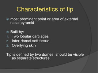 Characteristics of tip
 most prominent point or area of external
nasal pyramid
 Built by:
1. Two lobular cartilages
2. Inter-domal soft tissue
3. Overlying skin
Tip is defined by two domes ,should be visible
as separate structures.
 