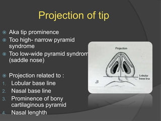 Projection of tip
 Aka tip prominence
 Too high- narrow pyramid
syndrome
 Too low-wide pyramid syndrome
(saddle nose)
 Projection related to :
1. Lobular base line
2. Nasal base line
3. Prominence of bony
cartilaginous pyramid
4. Nasal lenghth
 