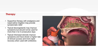 Therapy
• Supportive therapy with analgesics and
nasal saline irrigation may provide
symptomatic relief
• Topical decongestants may improve
symptoms but should not be used for
more than 3 to 5 consecutive days
• Topical intranasal steroids improve
symptoms and have shown a higher rate
of clinical success and more rapid
recovery when used with antibiotics
 