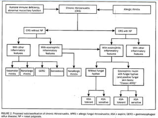 GP Trainees 27/11/13,
Education Centre RPH
15

 