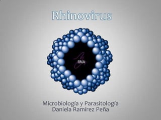 Microbiología y Parasitología
   Daniela Ramírez Peña
 