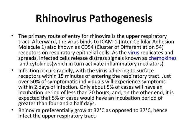 Rhinovirus | PPT | Infectious Diseases | Diseases and Conditions