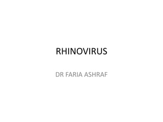 RHINOVIRUS
DR FARIA ASHRAF
 