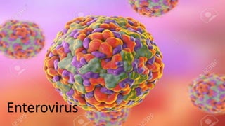 Entero Virus
Enterovirus
 