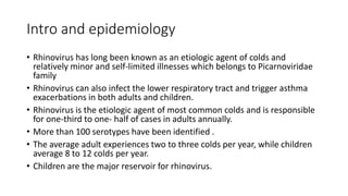 Intro and epidemiology
• Rhinovirus has long been known as an etiologic agent of colds and
relatively minor and self-limited illnesses which belongs to Picarnoviridae
family
• Rhinovirus can also infect the lower respiratory tract and trigger asthma
exacerbations in both adults and children.
• Rhinovirus is the etiologic agent of most common colds and is responsible
for one-third to one- half of cases in adults annually.
• More than 100 serotypes have been identified .
• The average adult experiences two to three colds per year, while children
average 8 to 12 colds per year.
• Children are the major reservoir for rhinovirus.
 