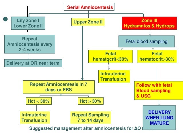 Rh Isoimmunization