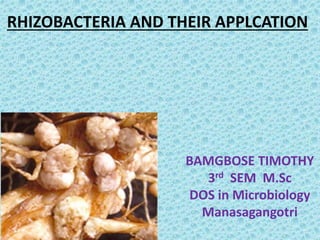 RHIZOBACTERIA AND THEIR APPLCATION
BAMGBOSE TIMOTHY
3rd SEM M.Sc
DOS in Microbiology
Manasagangotri
 