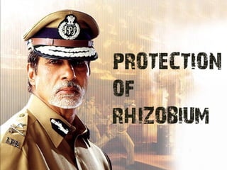 PROTECTION
OF
RHIZOBIUM
 