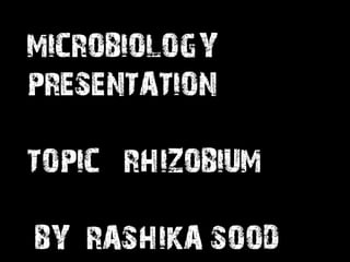 MICROBIOLOGY
PRESENTATION
TOPIC RHIZOBIUM
BY RASHIKA SOOD
 
