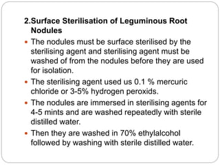 2.Surface Sterilisation of Leguminous Root
Nodules
 The nodules must be surface sterilised by the
sterilising agent and sterilising agent must be
washed of from the nodules before they are used
for isolation.
 The sterilising agent used us 0.1 % mercuric
chloride or 3-5% hydrogen peroxids.
 The nodules are immersed in sterilising agents for
4-5 mints and are washed repeatedly with sterile
distilled water.
 Then they are washed in 70% ethylalcohol
followed by washing with sterile distilled water.
 