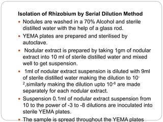 Isolation of Rhizobium by Serial Dilution Method
 Nodules are washed in a 70% Alcohol and sterile
distilled water with the help of a glass rod.
 YEMA plates are prepared and sterilised by
autoclave.
 Nodular extract is prepared by taking 1gm of nodular
extract into 10 ml of sterile distilled water and mixed
well to get suspension.
 1ml of nodular extract suspension is diluted with 9ml
of sterile distilled water making the dilution to 10-
2,similarly making the dilution upto 10-8 are made
separately for each nodular extract.
 Suspension 0.1ml of nodular extract suspension from
10 to the power of -3 to -8 dilutions are inoculated into
sterile YEMA plates.
 The sample is spread throughout the YEMA plates
 