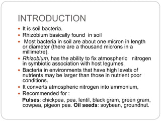 INTRODUCTION
 It is soil bacteria.
 Rhizobium basically found in soil
 Most bacteria in soil are about one micron in length
or diameter (there are a thousand microns in a
millimetre).
 Rhizobium, has the ability to fix atmospheric nitrogen
in symbiotic association with host legumes.
 Bacteria in environments that have high levels of
nutrients may be larger than those in nutrient poor
conditions.
 It converts atmospheric nitrogen into ammonium,
 Recommended for :
Pulses: chickpea, pea, lentil, black gram, green gram,
cowpea, pigeon pea. Oil seeds: soybean, groundnut.
 