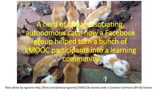 A herd of freely associating,
autonomous cats: how a Facebook
group helped turn a bunch of
cMOOC participants into a learning
community
flickr photo by rsgranne http://flickr.com/photos/rsgranne/25091156 shared under a Creative Commons (BY-SA) license
 